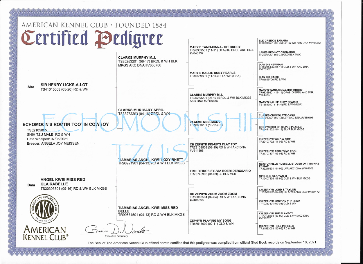 Spur's Pedigree
